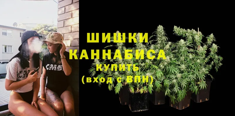 Бошки Шишки OG Kush  где найти наркотики  Ардатов 